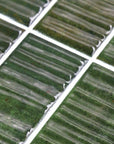 Closeup of Moss Green Textured Ceramic Subway Tiles