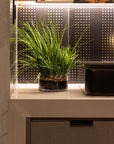 Matte Black 12 x 12 Wall Tile with Gold Dots in Tandem - TileBuys