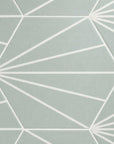 Matte Green Starline Pattern Porcelain Hexagon Tiles