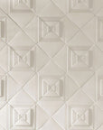 White Porcelain 5x5 Tiles with Raised Linework