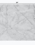 Carrara Bianco Marble Wall and Floor Field Tile in Various Sizes - Polished | TileBuys