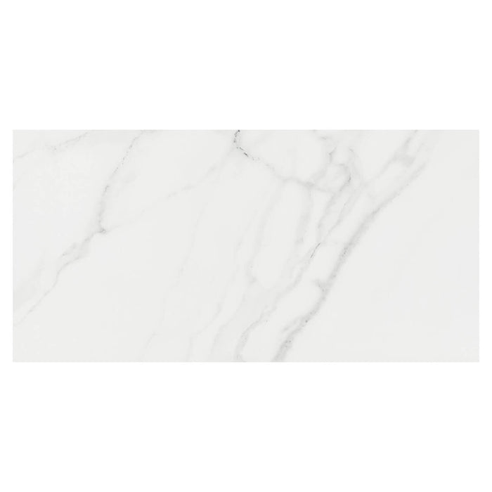 Carrara Look Porcelain Tiles - TileBuys