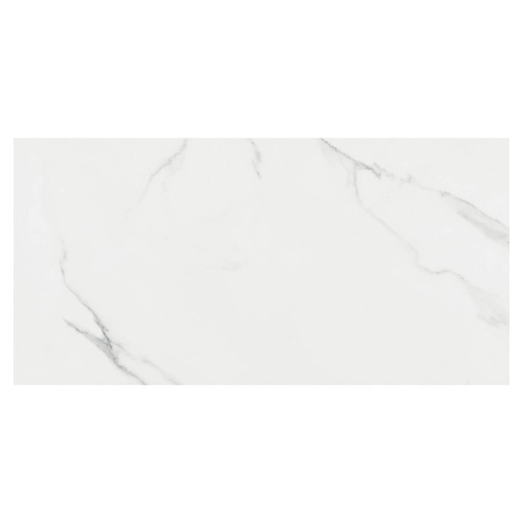 Carrara Look Porcelain Tiles - TileBuys