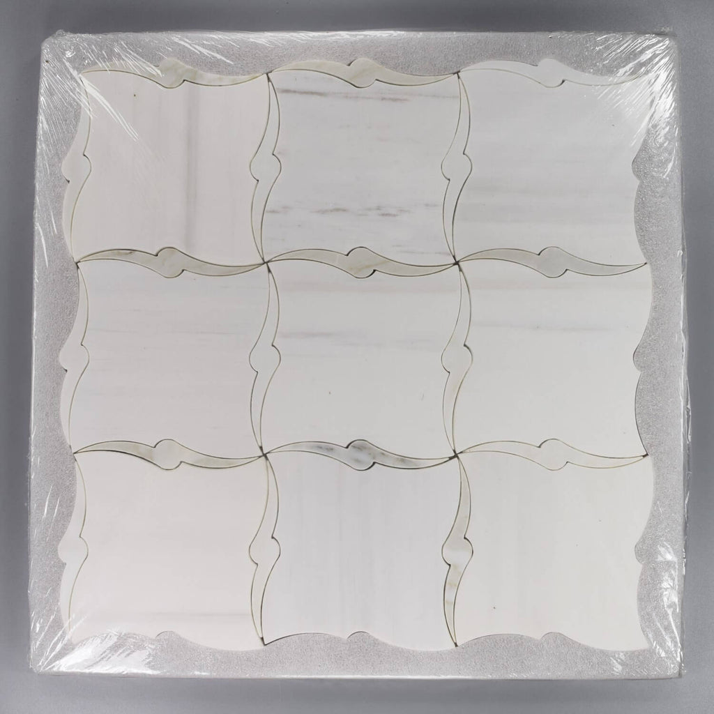 Dolomite and Calacatta Marble Waterjet Mosaic Tile in Packaging