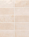Bone Ceramic 2x8 Subway Tiles