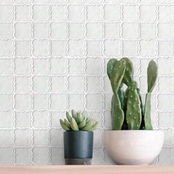 Potted Cacti in Front of Mediterranean White Square Ceramic Mosaic Tile Accent Wall