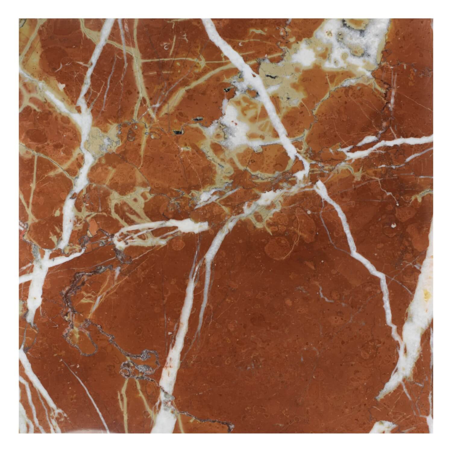 Rojo Alicante Marble 12x12 Tile