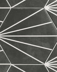 Matte Black Star Line Pattern Porcelain Wall and Floor Tiles