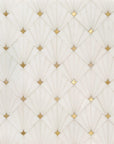 Thassos White Marble and Brass Sunray Waterjet Mosaic Tile - TileBuys