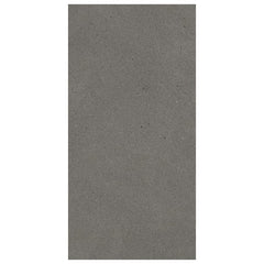 Sandstone Pattern Porcelain Field Tiles - 12x24" in Graphite (9.69 Sq Ft) | TileBuys