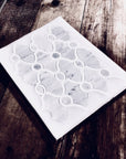 Carrara Bianco and White Thassos Marble Waterjet Mosaic Tile in Bellagio | TileBuys