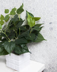 Carrara Bianco Marble Mosaic Tile - 1" Hexagons - Polished | TileBuys