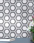 Carrara (Carrera) Venato and Nero Black Marble Waterjet Mosaic Tile in Double Hexagon | TileBuys