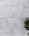 Carrara Venato Marble 3x6" Subway Tile - Various Finishes | TileBuys