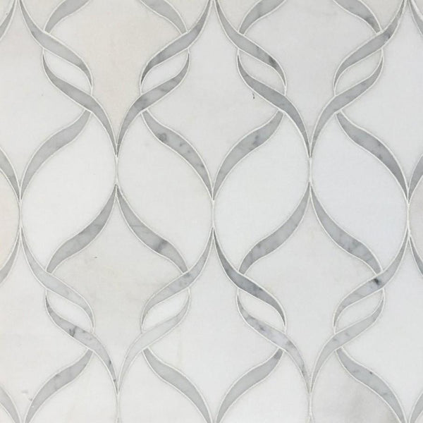 white-thassos-and-bianco-carrara-marble-waterjet-mosaic-tile-in-ballet ...