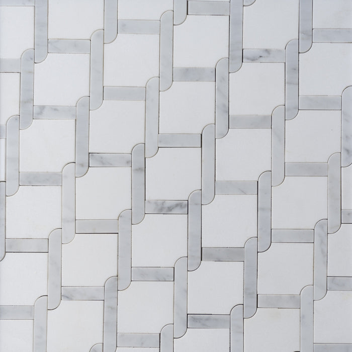 White Thassos and Carrara Bianco Marble Waterjet Mosaic Tile in Princess Weave | TileBuys